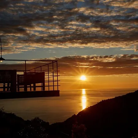 Sunrise Garden Hills Lejlighed